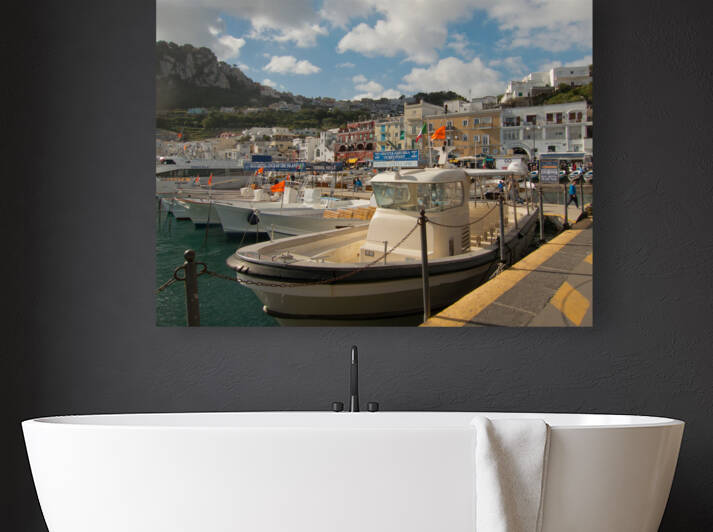 Capri Italy Reproduction