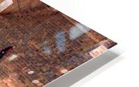 On the Ganges  HD Metal print