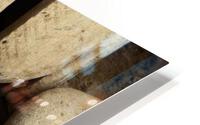 Caught HD Metal print
