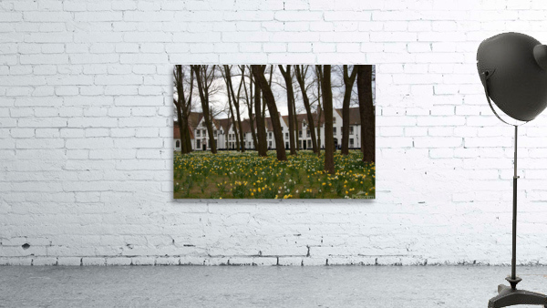 Amsterdam  Beginhoff   Wall Preview