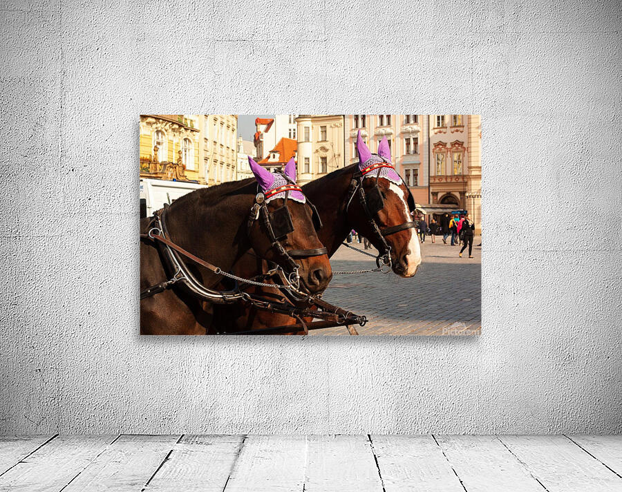 Prague Horses Wall Preview