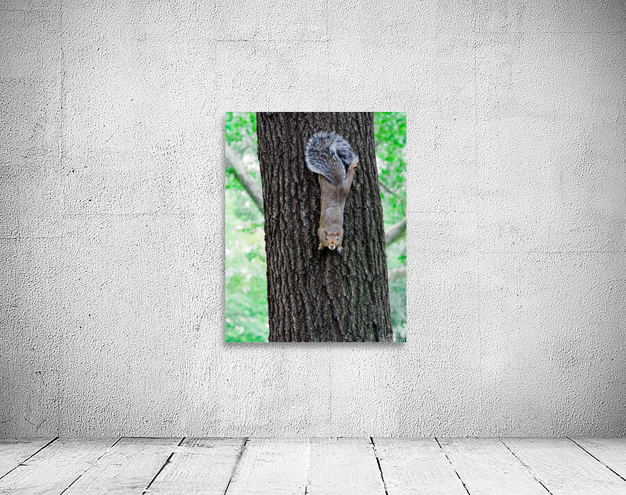 Ill be right down Wall Preview
