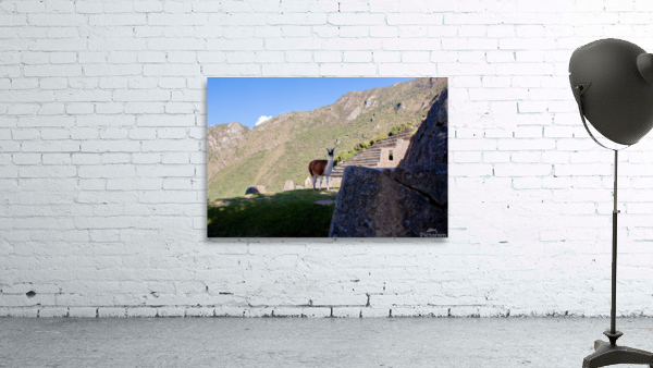 Machu Picchu Wall Preview