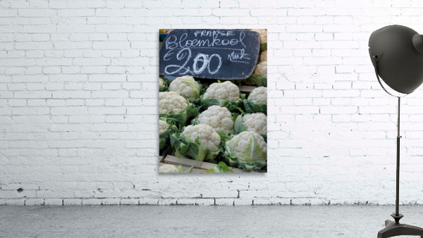 Amsterdam Cauliflower Wall Preview