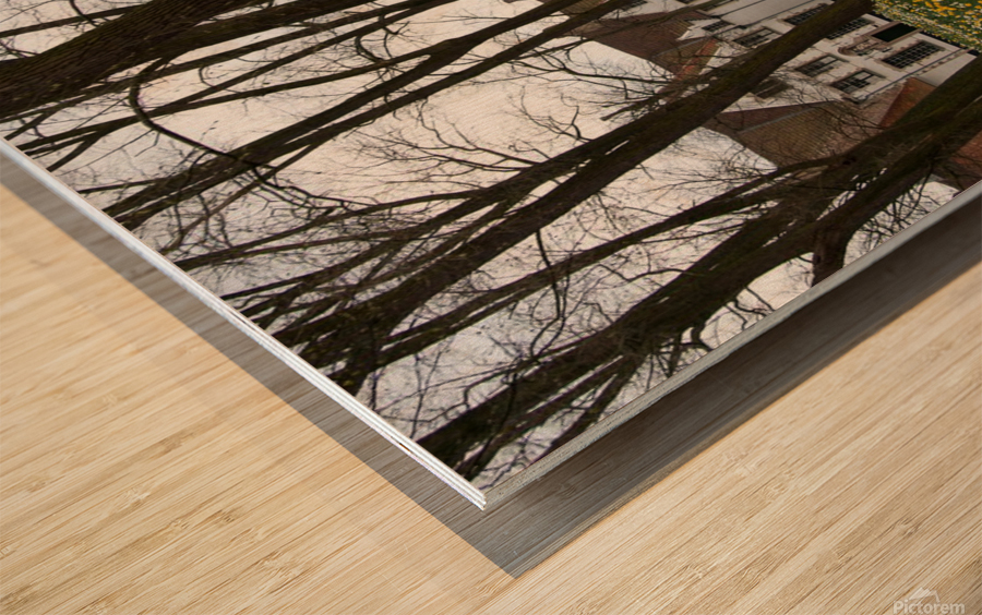 Amsterdam  Beginhoff   Wood print