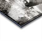 1950s TWO BLACK BEARS STANDING AT WINDOWS OF CAR 229783 Acrylic print