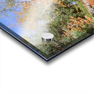 Trees Near A River Bog River New York USA 27398 Acrylic print