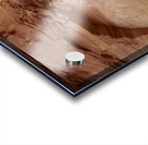 Rock Art Panel Canyon Style Canyonlands National Park UT USA 29818 Acrylic print