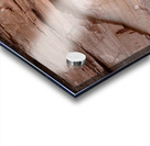 Rock Art Panel Horseshoe Canyon Canyonlands National Park UT USA 30629 Acrylic print