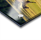 Herd of horses running Oregon United States 102763 Acrylic print