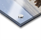 Herd of Icelandic Horses running free Skagafjordur Iceland 168756 Acrylic print