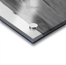 2 Arabian horses running on grassland Stelle Illinois USA 240617 Acrylic print