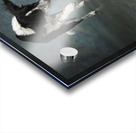 Studio shot of Border Collie jumping 208268 Acrylic print