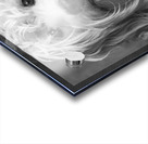 Portrait of Mini Goldendoodle 208636 Acrylic print