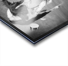 Color Pop Studio shot of Border Collie playing with ball 218677 Acrylic print