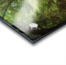 Live Oaks & Spanish Moss Wormsloe State Historic Site Savannah Georgia 85285 Acrylic print