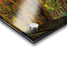 Fall Trees Kitchen Creek Pennsylvania USA 64925 Acrylic print