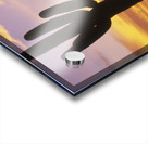 Sunset over Cactus Saguaro National Park AZ 85662 Acrylic print