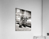 1950s TWO BLACK BEARS STANDING AT WINDOWS OF CAR 229783 Acrylic Print