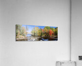 Trees Near A River Bog River New York USA 27398 Acrylic Print