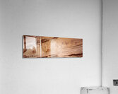 Rock Art Panel Canyon Style Canyonlands National Park UT USA 29818 Acrylic Print