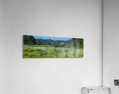 Horses grazing in field North Yorkshire England 76100 Acrylic Print