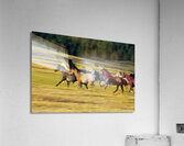 Herd of horses running Oregon United States 102763 Acrylic Print