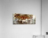 Carousel horses in amusement park Seattle Center Queen Anne Hill Washington USA 120959 Acrylic Print