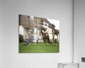 1920s-30s TWO COUPLES ONE ON HORSES THE OTHER WEARING GOLF CLOTHES AT THE BERKSHIRE HOUND AND COUNTRY CLUB BERKSHIRES MA USA 245286 Acrylic Print