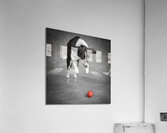 Color Pop Studio shot of Border Collie playing with ball 218677 Acrylic Print