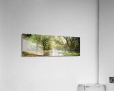 Live Oaks & Spanish Moss Wormsloe State Historic Site Savannah Georgia 85285 Acrylic Print