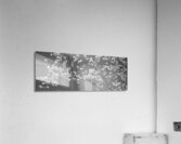 Cherry Blossoms Washington DC USA 152181 Acrylic Print