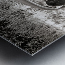 1950s TWO BLACK BEARS STANDING AT WINDOWS OF CAR 229783 Metal print