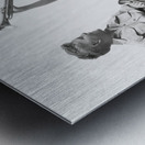 1930s 2 BOYS SIT ON SPLIT FENCE PRACT. BUGLE HORNS 232613 Metal print