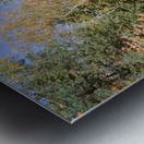 Trees Near A River Bog River New York USA 27398 Metal print