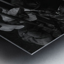 High angle view of cowboys with horses at rodeo Wichita Falls Texas USA 146585 Metal print