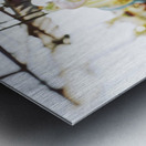 Close-up of carousel horses Coney Island Brooklyn New York City USA 118689 Metal print