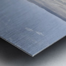 Herd of Icelandic Horses running free Skagafjordur Iceland 168756 Metal print