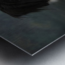 Studio shot of Border Collie 208259 Metal print