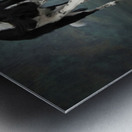 Studio shot of Border Collie jumping 208268 Metal print