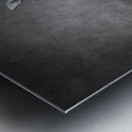 Studio shot of Jack Russell Terrier playing with tennis ball 208484 Metal print