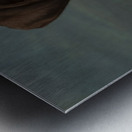 Portrait of Chocolate Labrador sticking out tongue 209001 Metal print