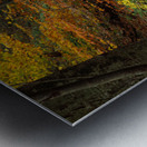 Fall Trees Kitchen Creek Pennsylvania USA 64925 Metal print