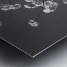 Cherry Blossoms Washington DC USA 152181 Metal print