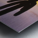 Sunset over Cactus Saguaro National Park AZ 85662 Metal print