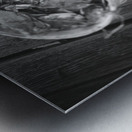 High angle view of crabs in a basket Maryland US 79429 Metal print