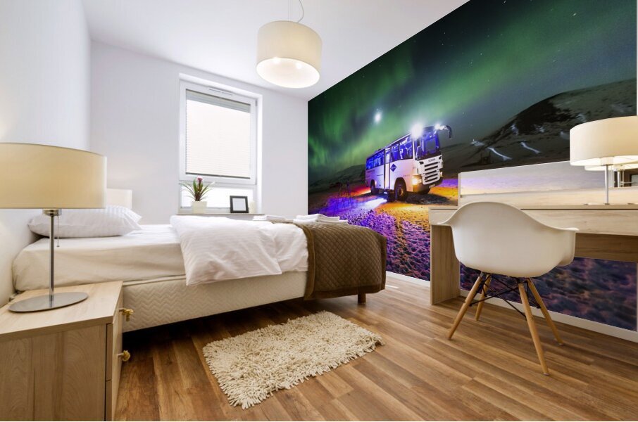 Aurora Borealis Tour Vatnajokull Ice Cap Iceland 168611 Mural print