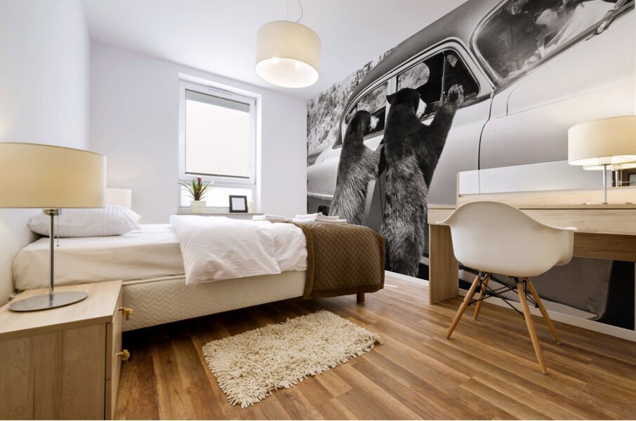 1950s TWO BLACK BEARS STANDING AT WINDOWS OF CAR 229783 Mural print