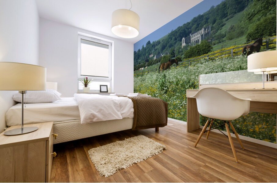 Horses grazing in field North Yorkshire England 76100 Mural print