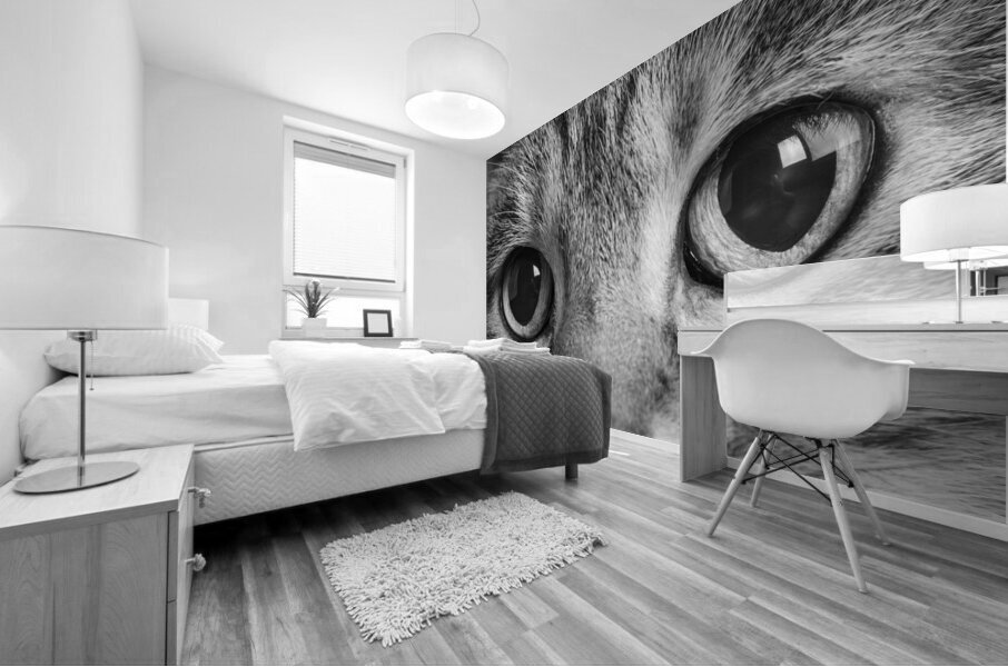 Close-up of Tabby cats eyes 213146 Mural print
